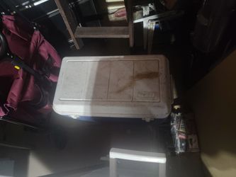 Large coleman cooler