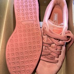Puma Desert Flower