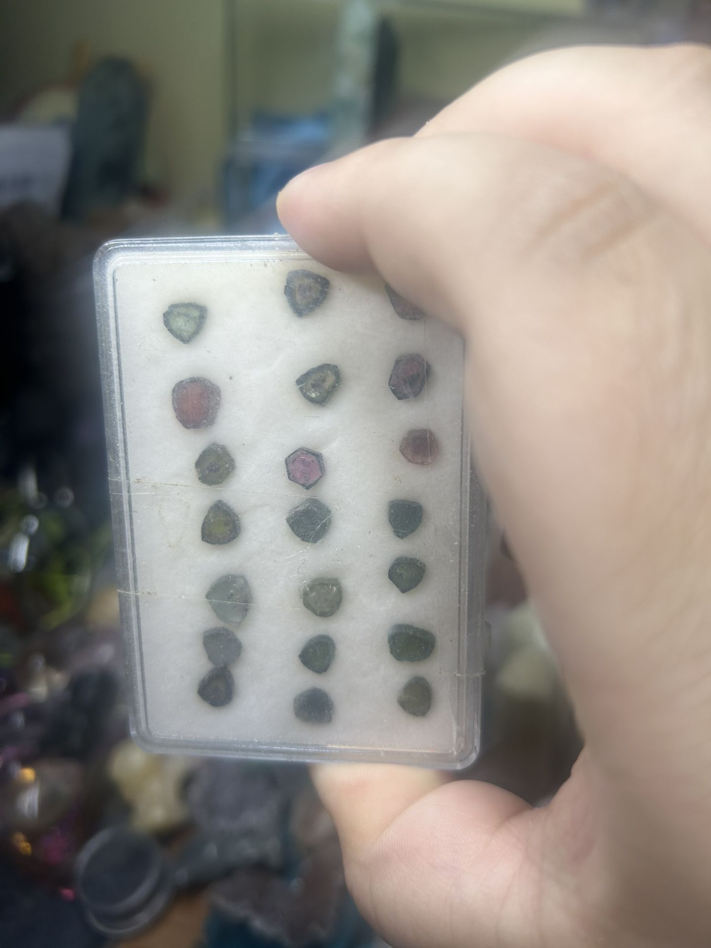 Watermelon Tourmaline 10 Each