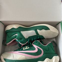 Brand new Nike basketball shoes (Giannis‘s) 