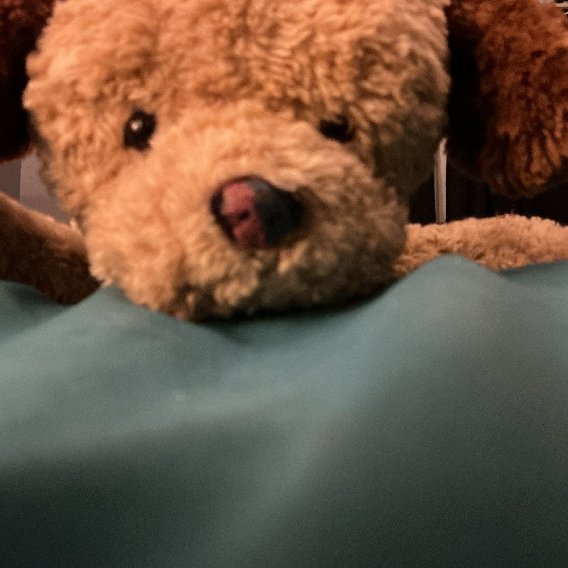 Gund brand dog plush. 