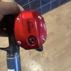 Brand New Rod +reel 