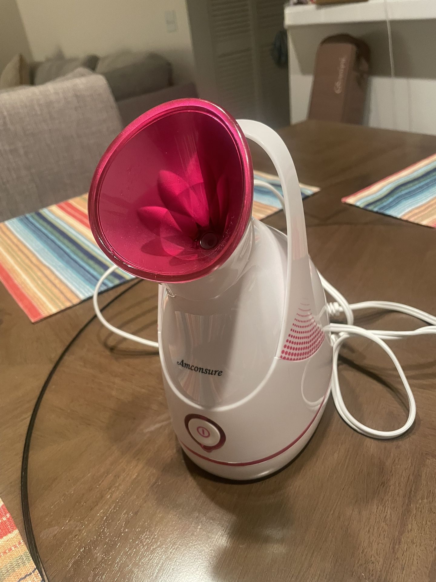 Nano Facial Steamer