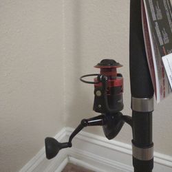Penn Fierce IV 5000 & Berkeley Rod