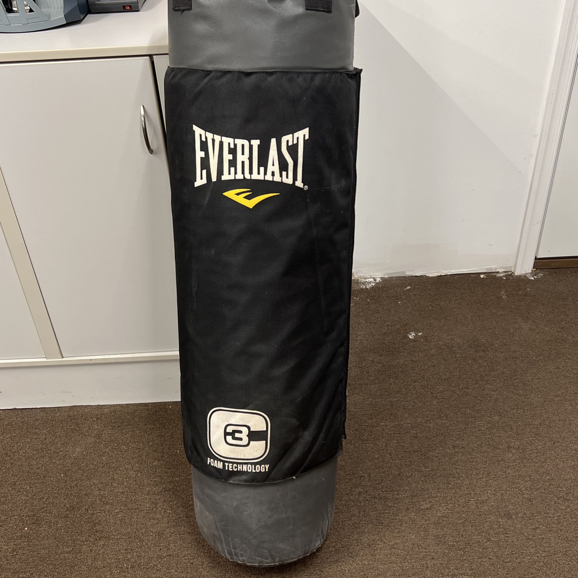 Elite Everlast Punching Bag 