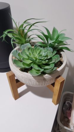 Desktop Succulent Decor