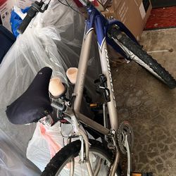 Schwinn Bike