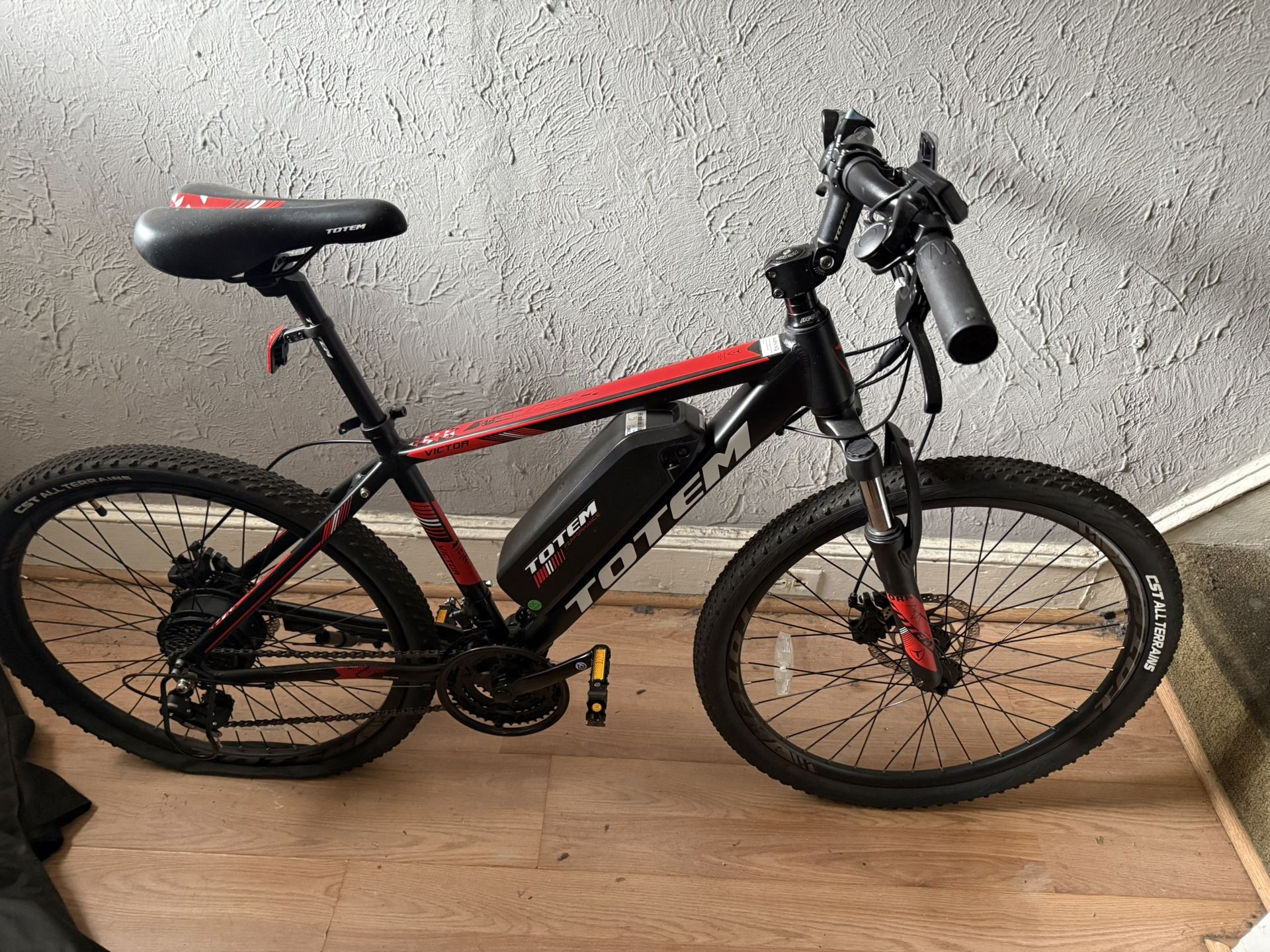 Electric bike