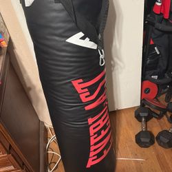Everlast Punching Bag