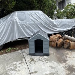 Dog House