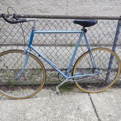Large size Raleigh technium single speed road bike w/ bullhorn
