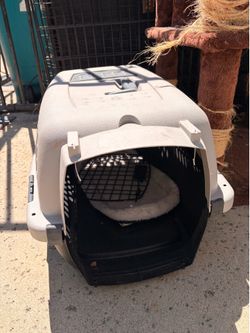 Cat transport carrier