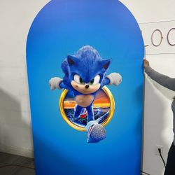 Sonic foam board backdrop 4’ x 7’