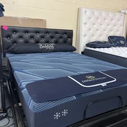 Bed Frame Only / Available In Full And Queen 