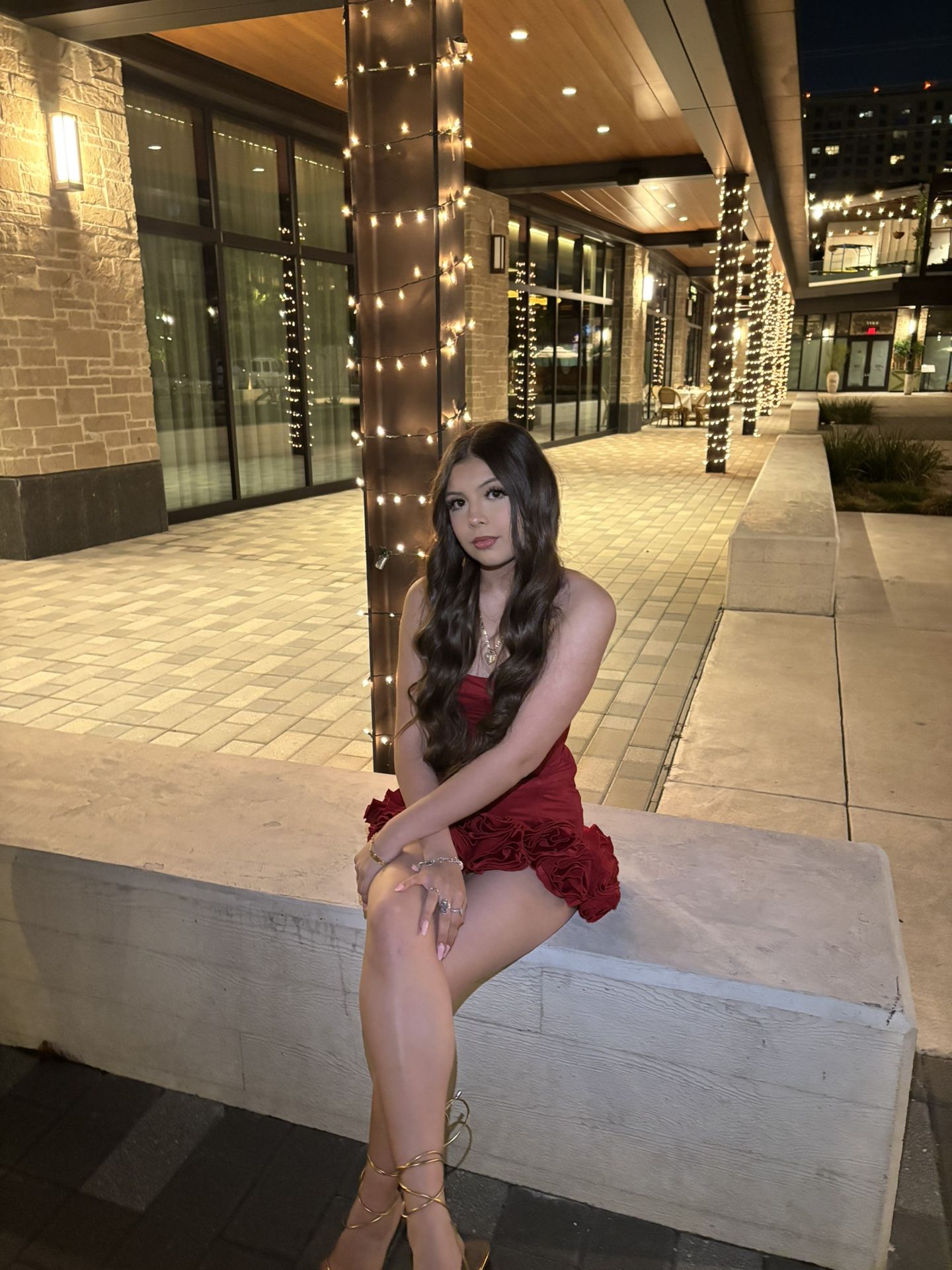 Red rose dress mini dress