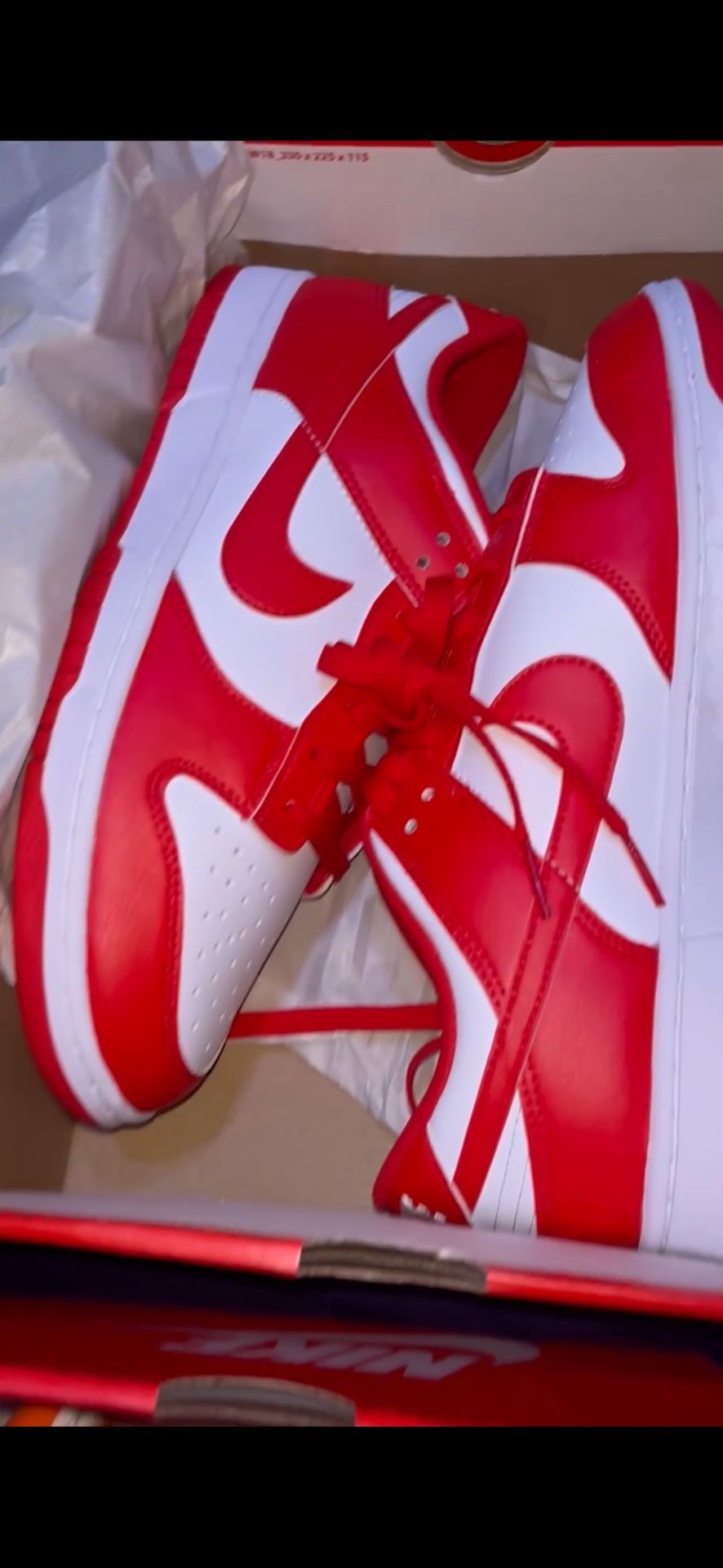 Nike Dunks Low
