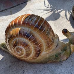 Snail For Sale 