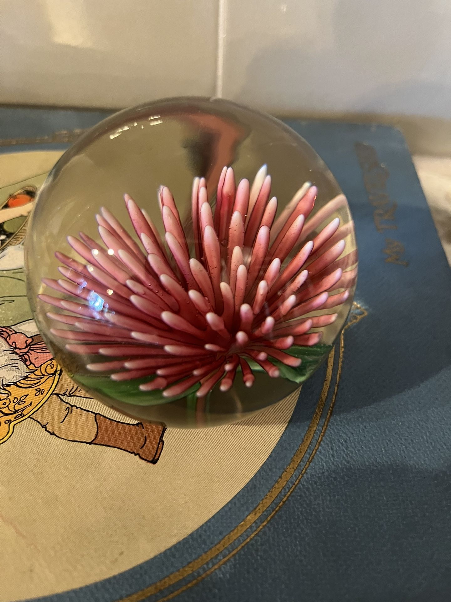 Beautiful Vintage Paperweight