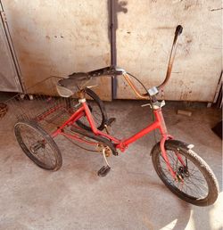 Vintage Adult Tricycle with Basket