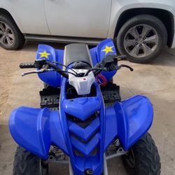 Mini Viper Quad 2 Stroke