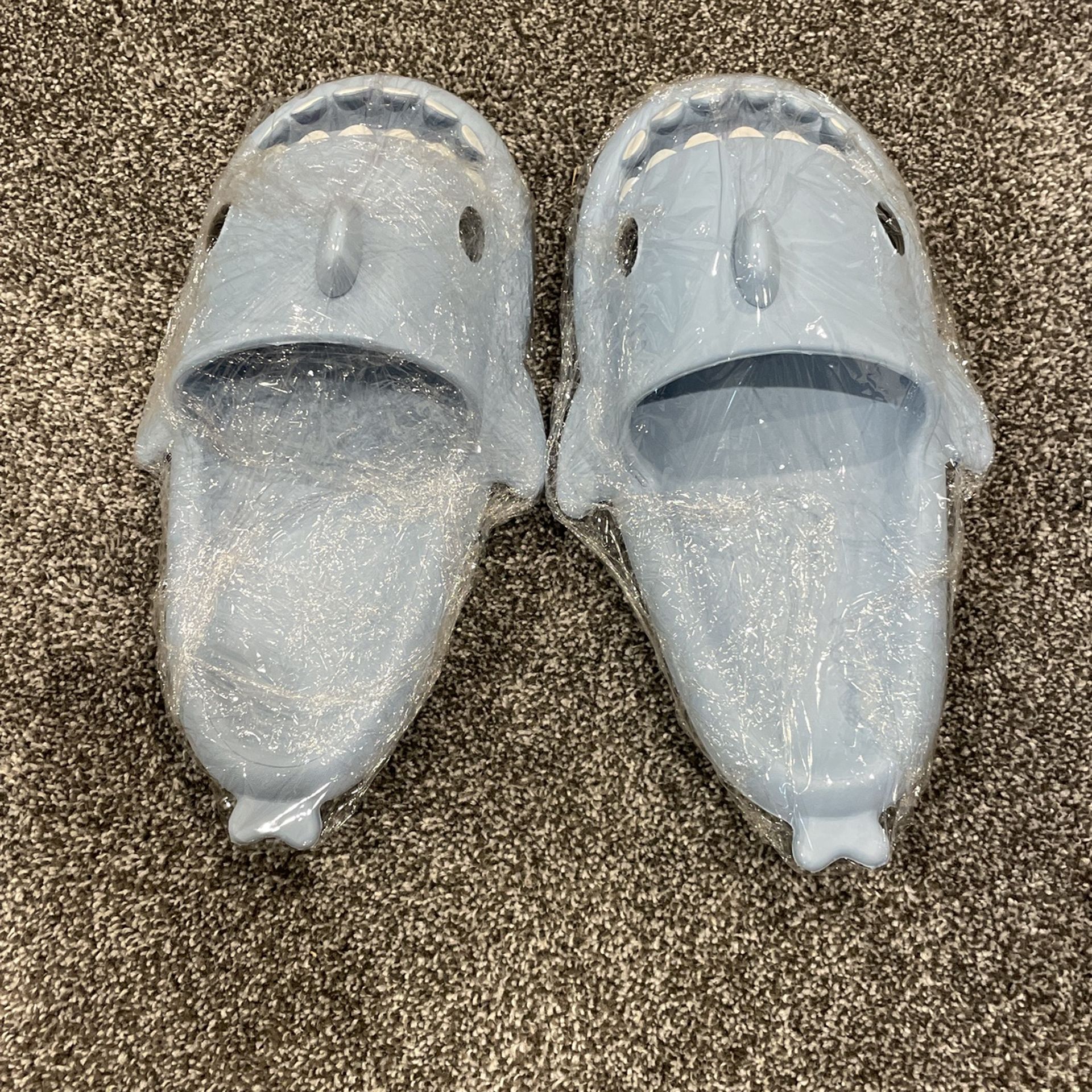 Shark Slides