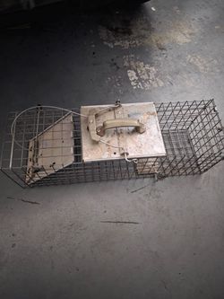 Animel Trap