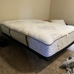 Adjustable Queen Base And Bed 