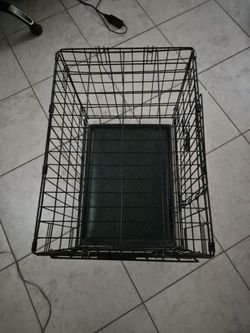 Dog kennel.