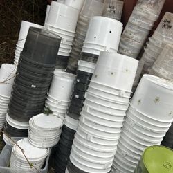 Mushroom Growing Buckets!