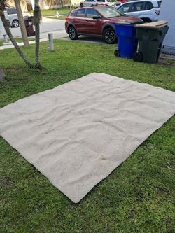 8 x 10 Beige Area Rug