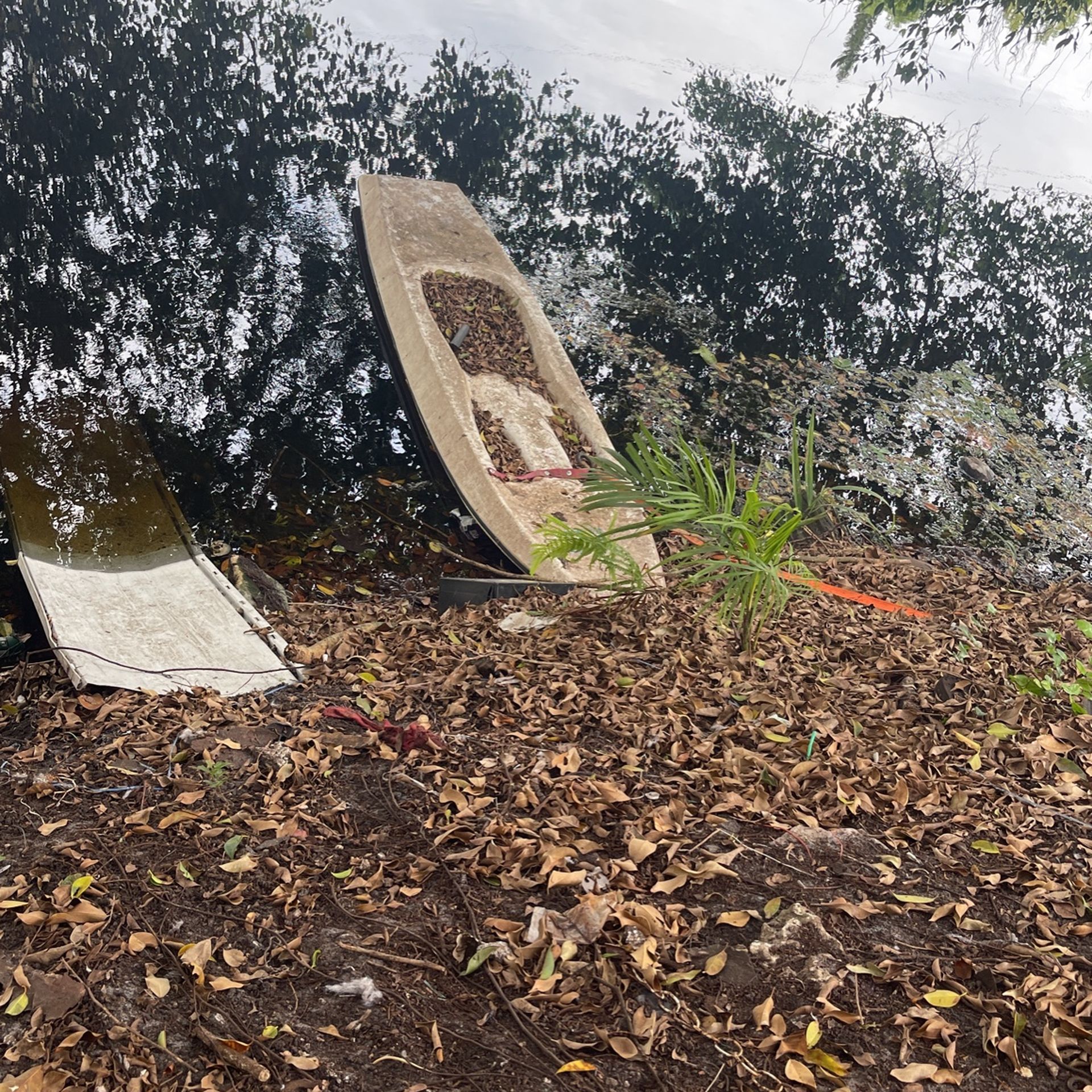 Kayak