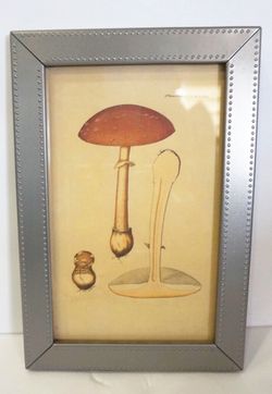 New mushroom wall decoration