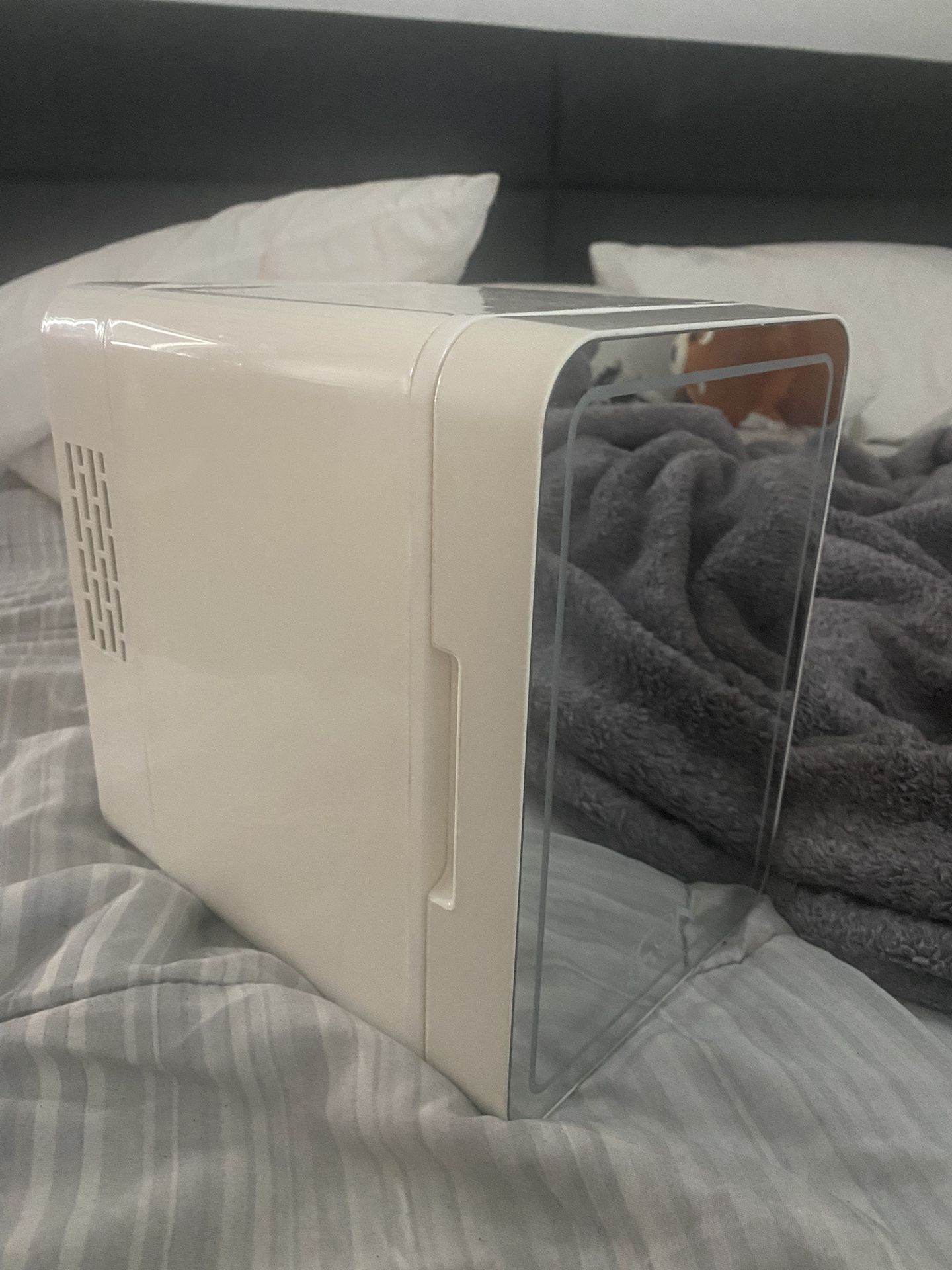 skin care mini fridge 