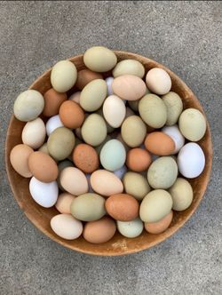 Farm Fresh Eggs