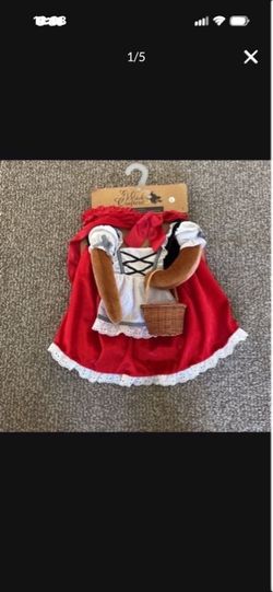Dog outfit