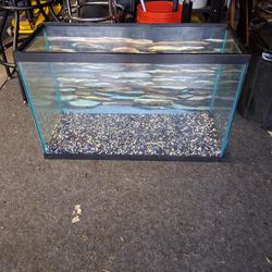 30 Gallon Fish Tank