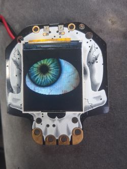 Adafruit Hallowing live eyes (i have 2)