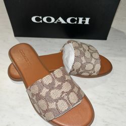 Coach Sandals 
