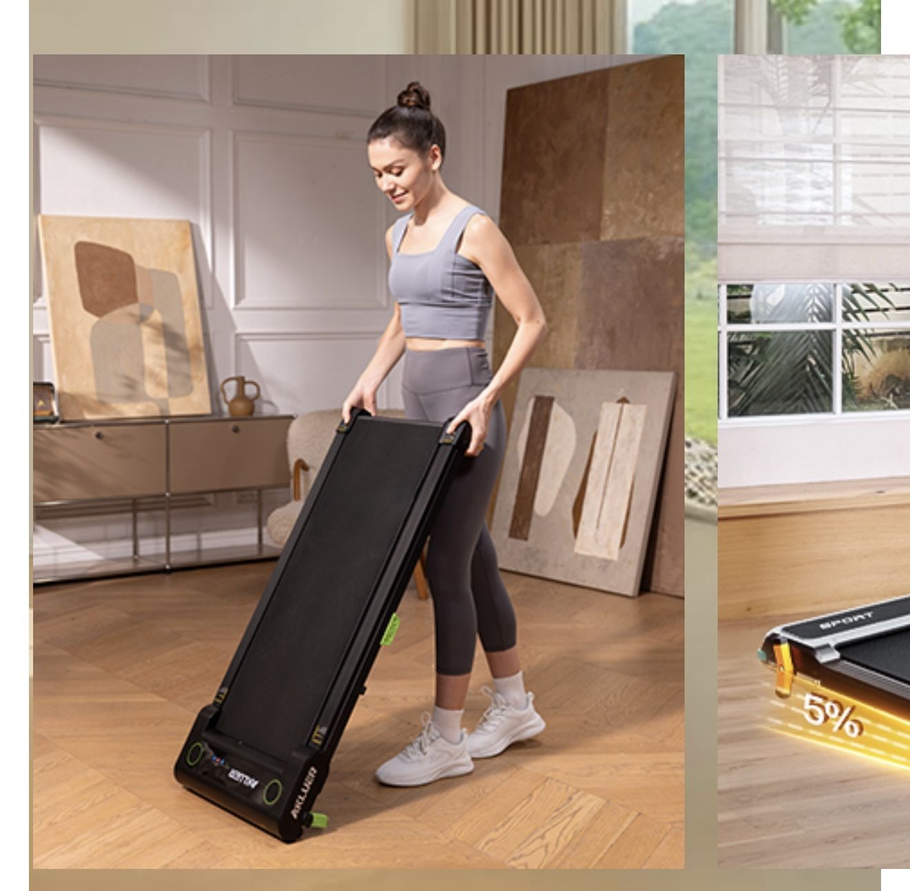 Walking Pad / Treadmill