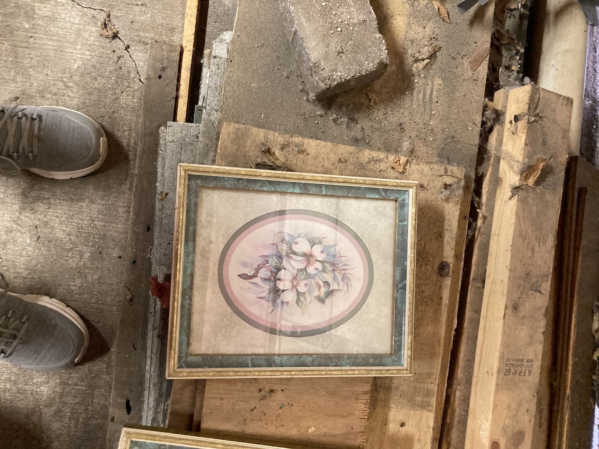 Framed Pictures