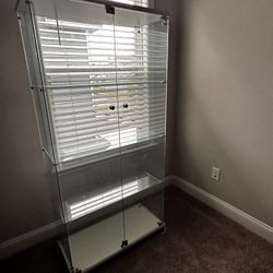 Huge Glass Trophy/Display Case
