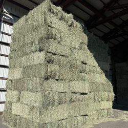 Premium Timothy Hay 