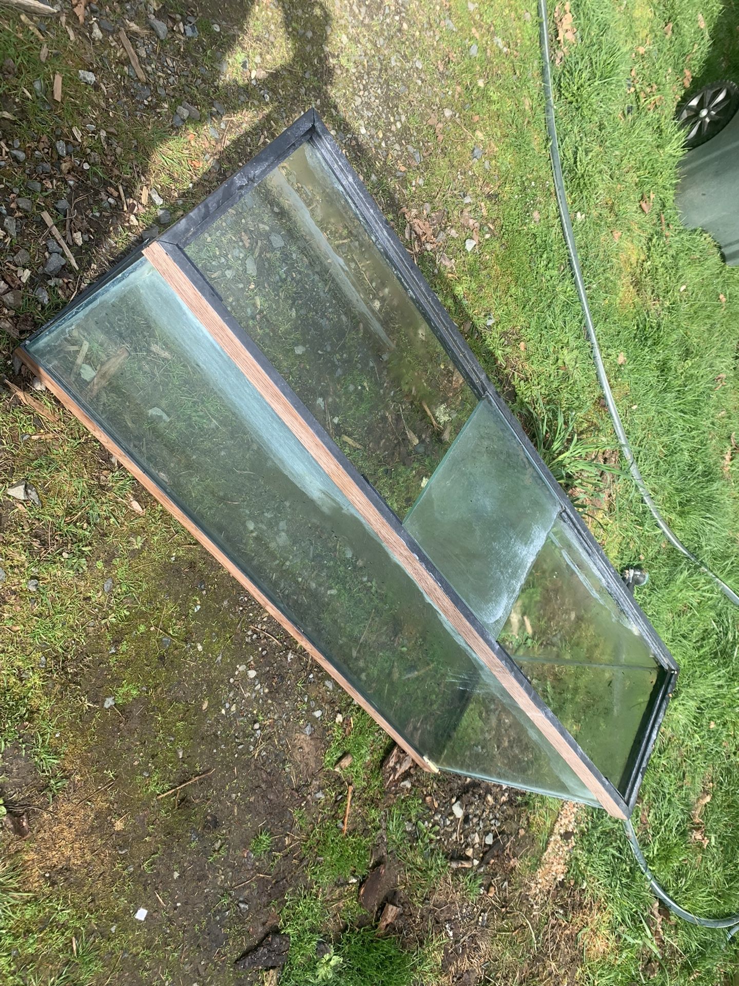 Aquarium 50 Gallon With Filter, Heater, And More 