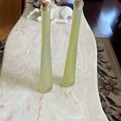 Elegant Frosted Glass Vases With Cork Stoppers