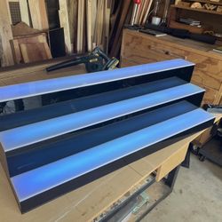 Liquor Bottle Display (lights Up) 