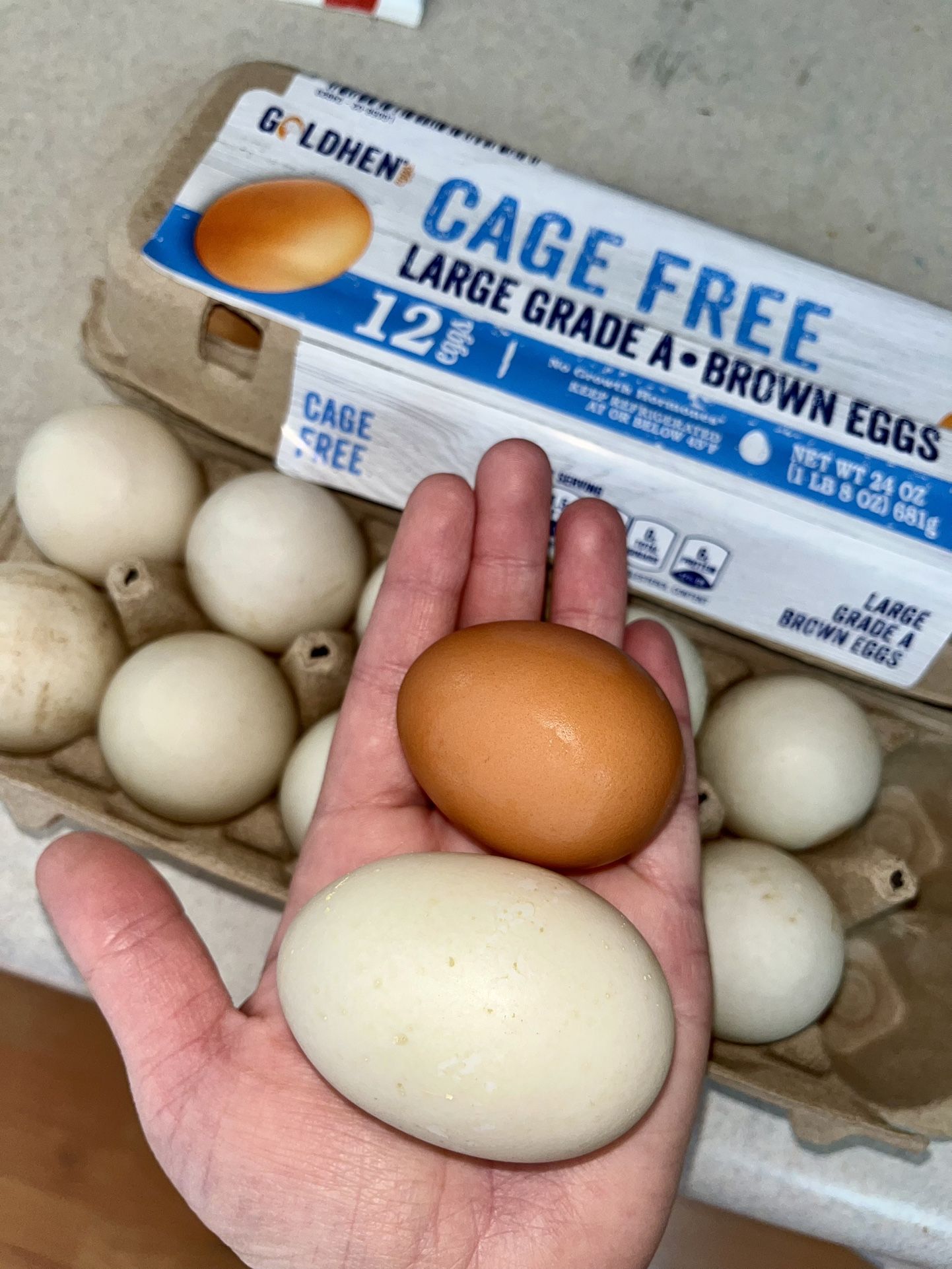 Farm Fresh Duck Eggs