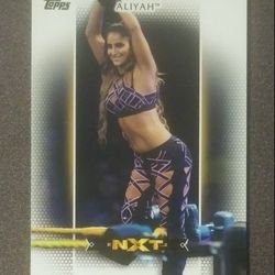 2017 Topps NXT Aliyah #R-1 Superstar WWE Womens Division Card Wrestle World Wrestling Sports Collectible