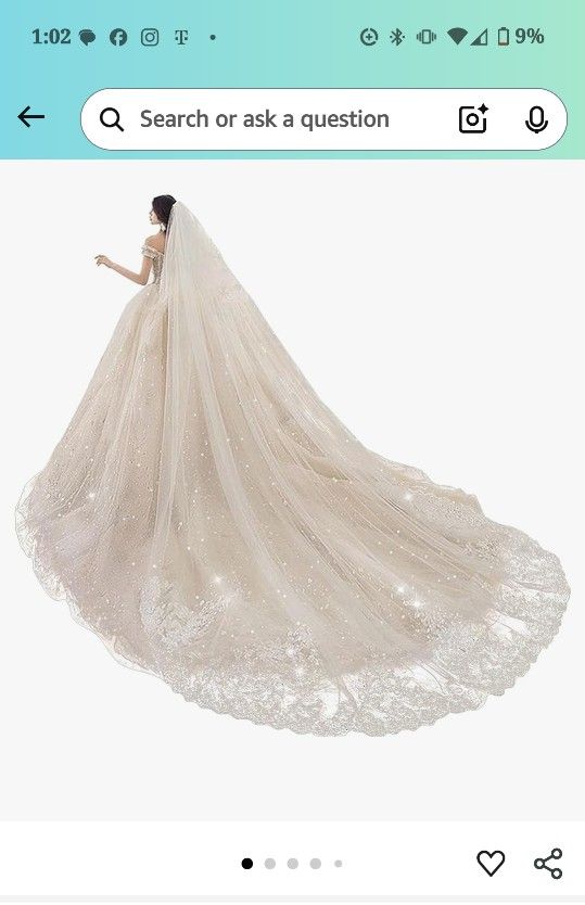 Cathedral Veil