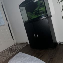 36 Gallon Front Bow Aquarium