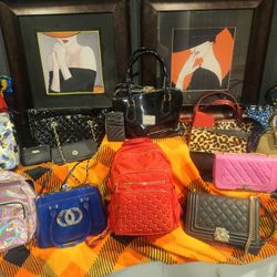 14 Purses  & Misc Wallets, Backpacks, 1 Price Takes All
